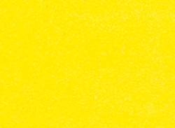 Ante Suede Velour Neon Yellow